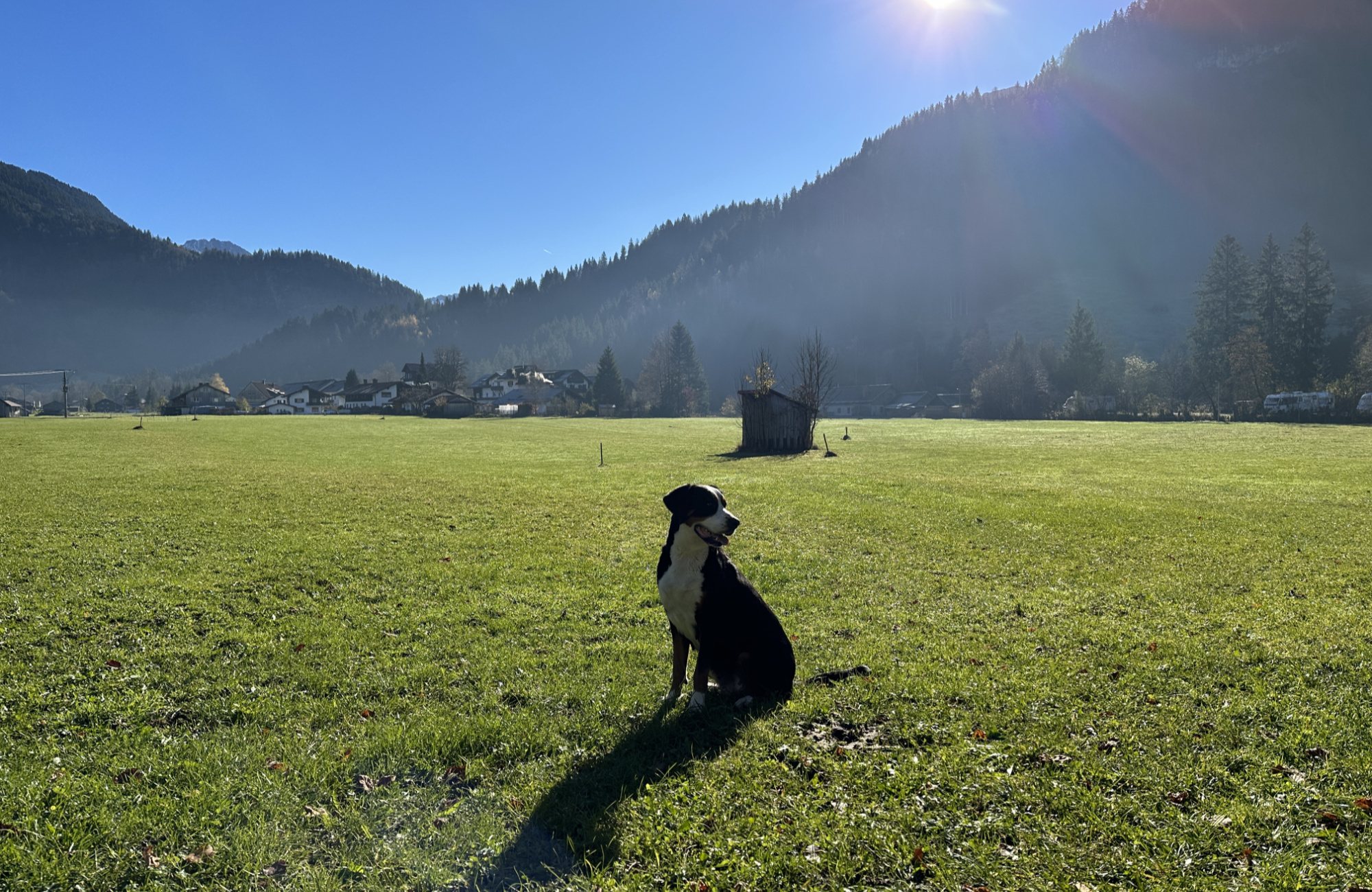 Obere Mühle Ferienwohnungen