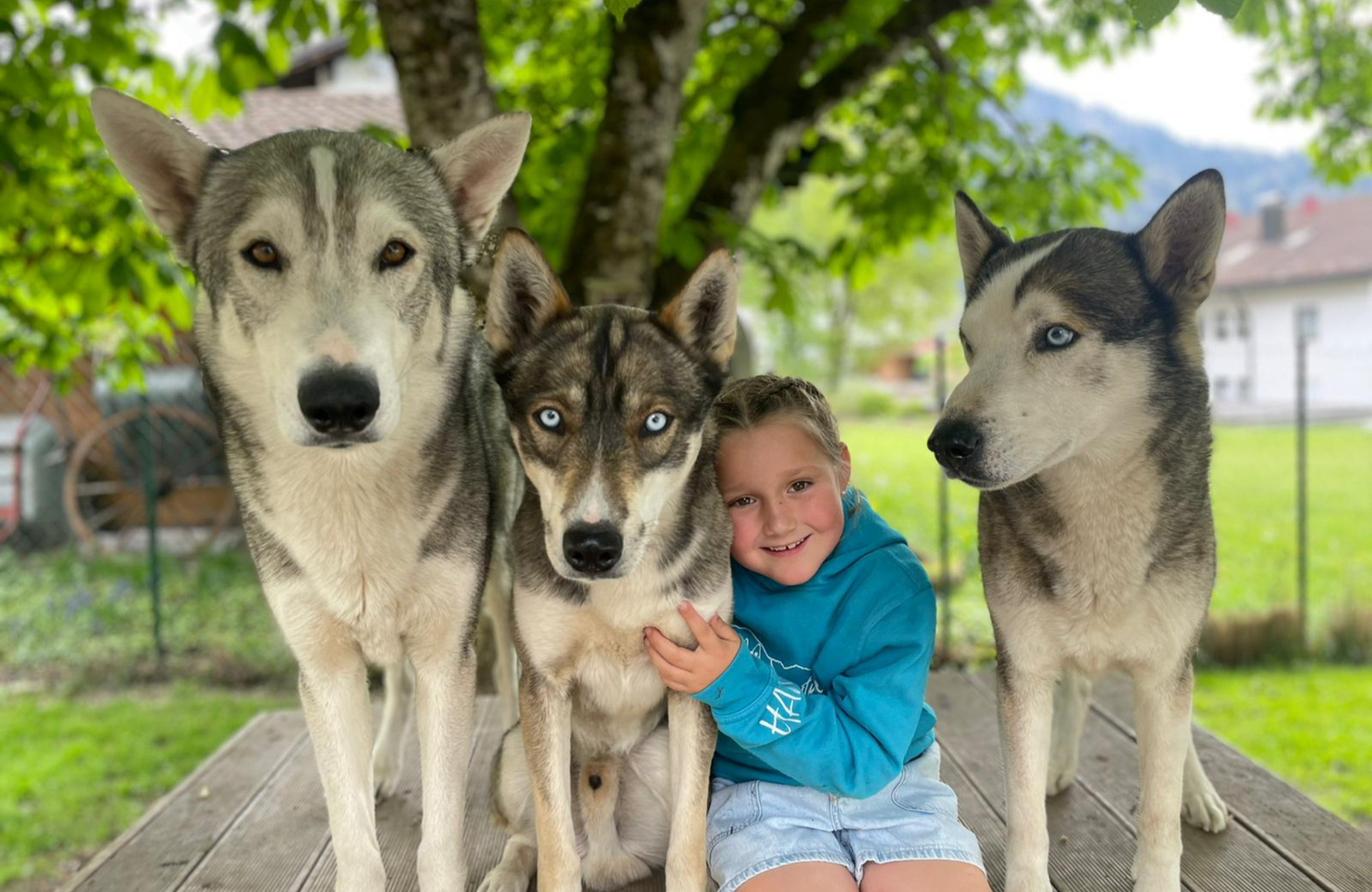Obere Mühle Ferienwohnungen