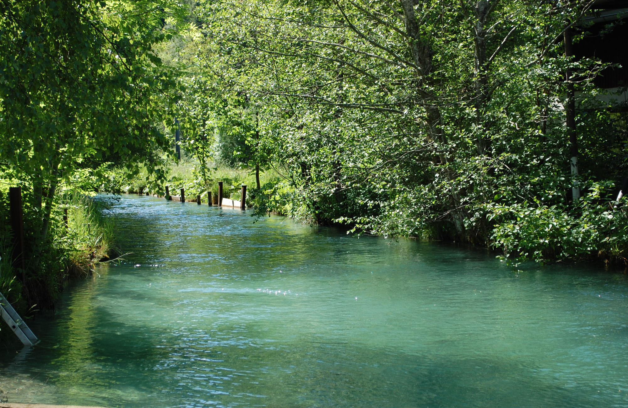 Obere Mühle Ferienwohnungen