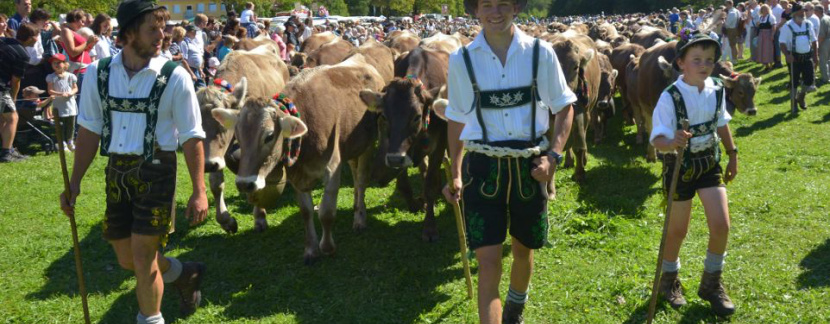 Viehscheid im Gasthaus Obere M&uuml;hle