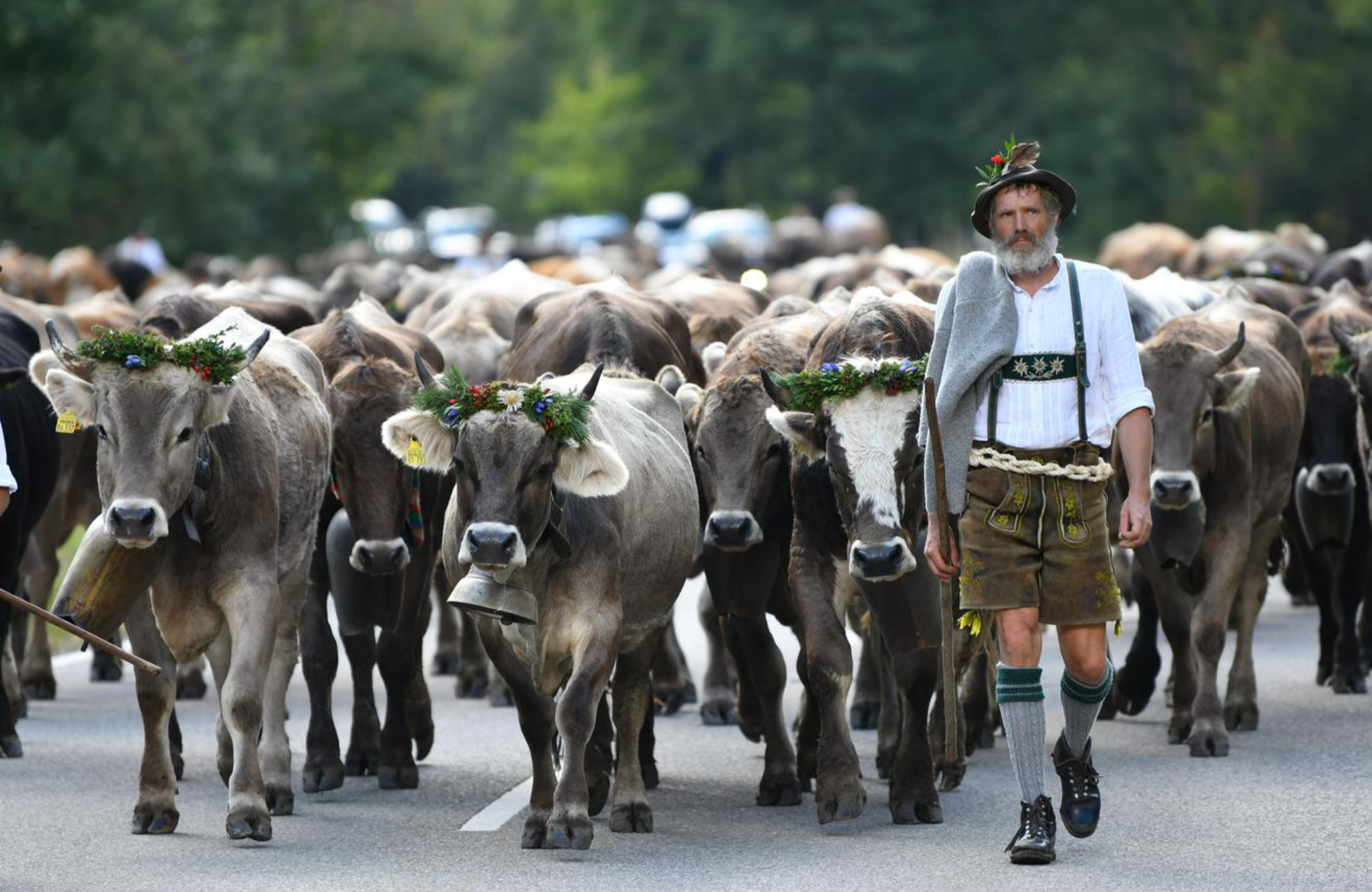 Obere Mühle Ferienwohnungen
